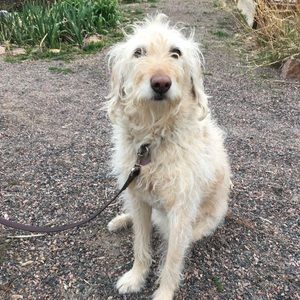 Meet your Posher, Kathryn